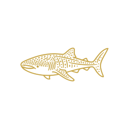Whale Sharks